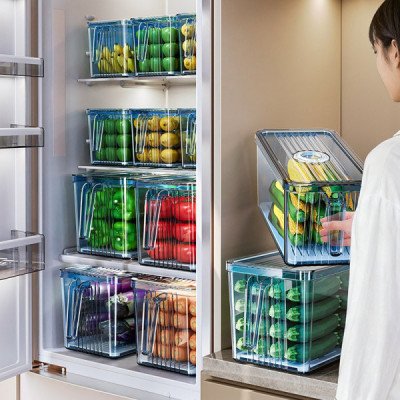 Fridge Storage Box Silver Ion | Cozyforu MU